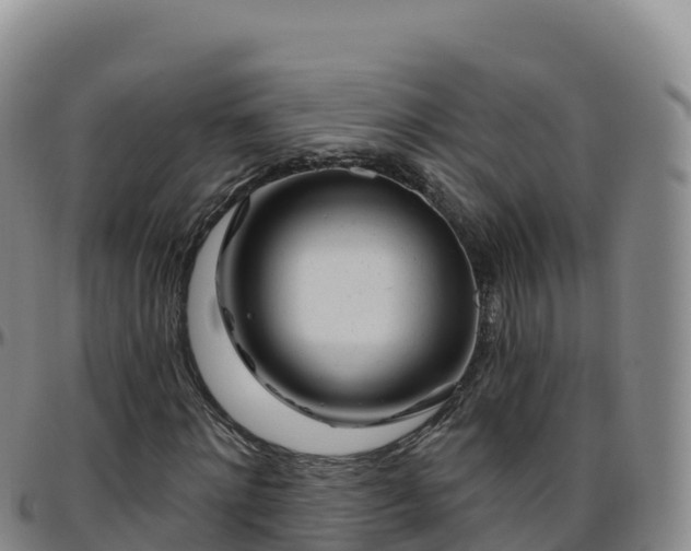 X0000096470868200801311532