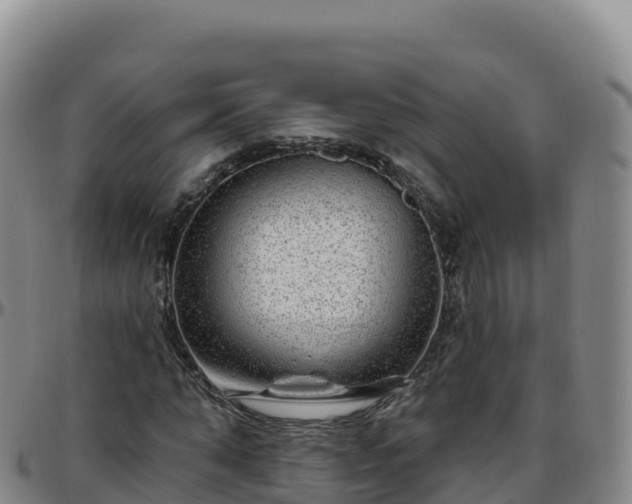 X0000096470870200801311532
