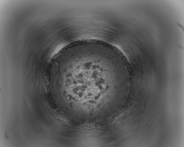 X0000096470871200801311532