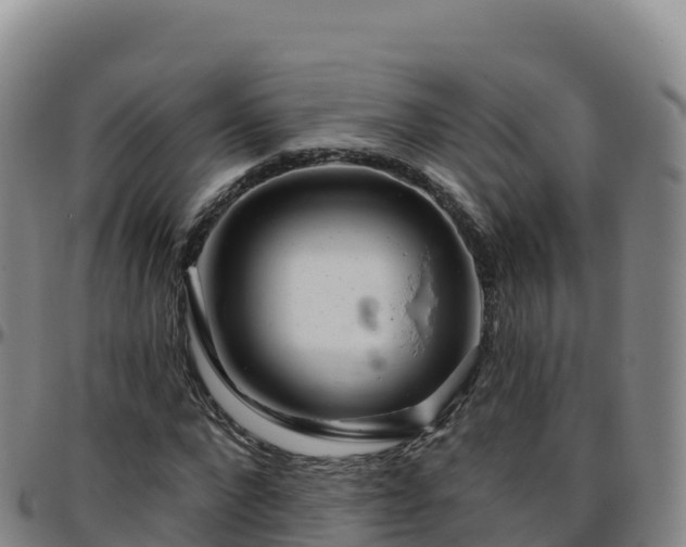 X0000096470872200801311532