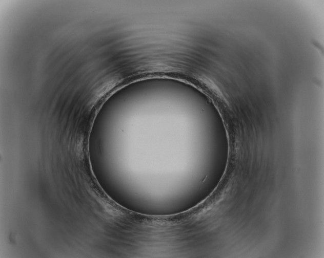 X0000096470873200801311532
