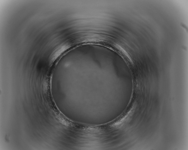 X0000096470874200801311532