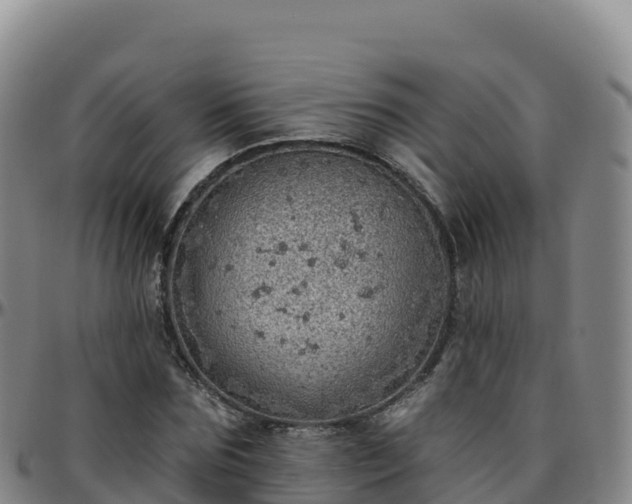 X0000096470875200801311532
