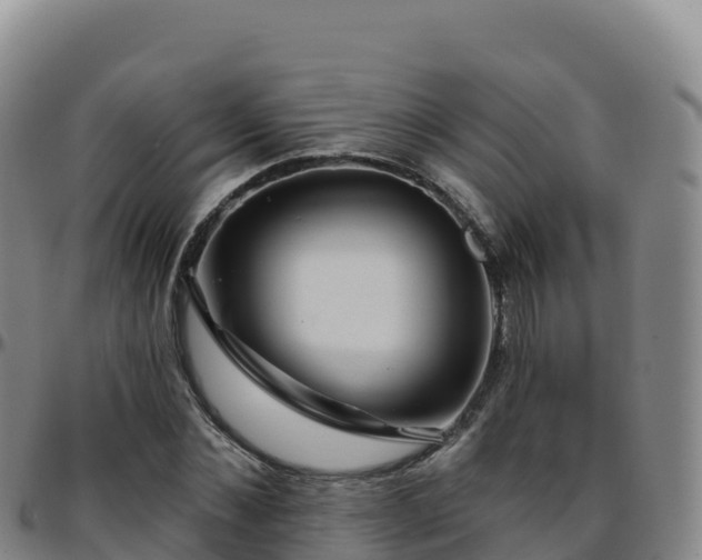 X0000096470876200801311532