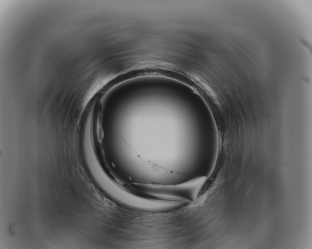 X0000096470877200801311532