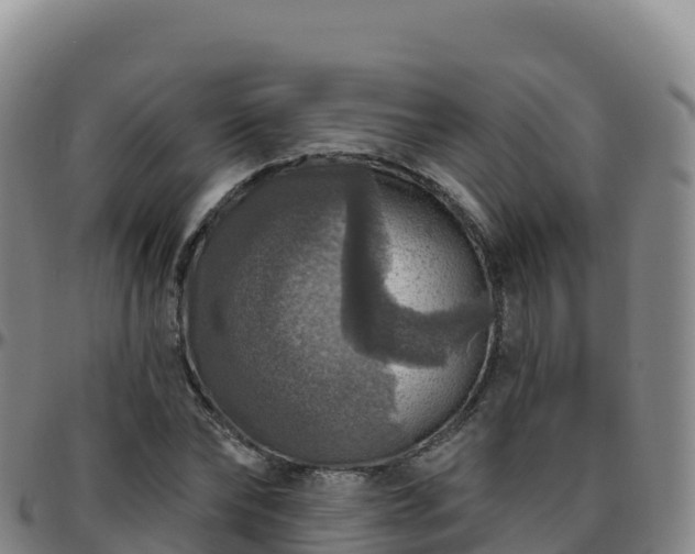 X0000096470878200801311532