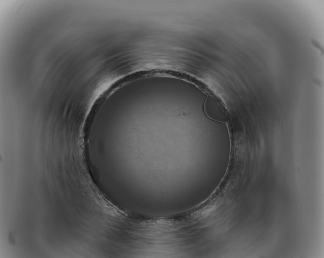 X0000096470879200801311532