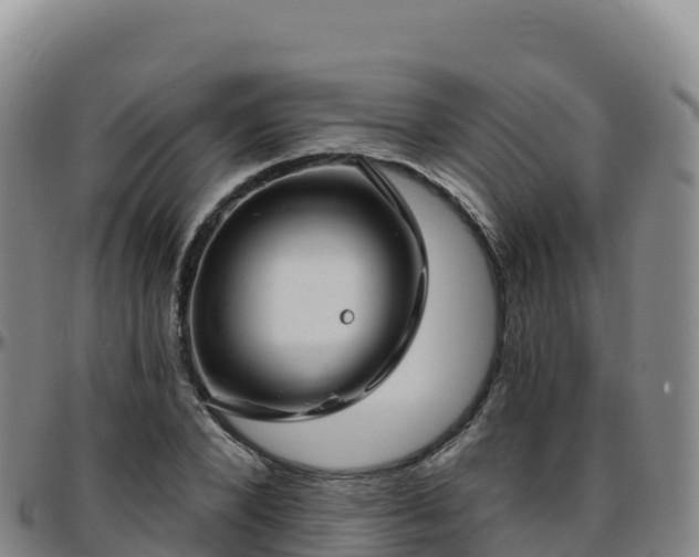 X0000096470880200801311532