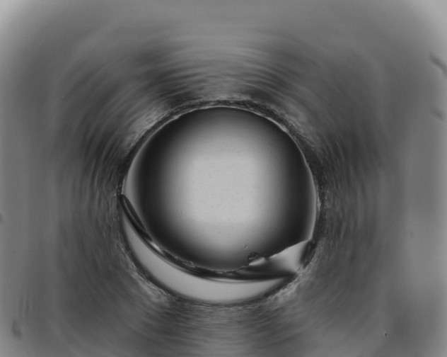 X0000096470881200801311532