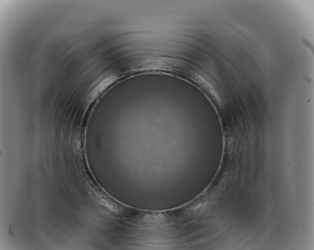 X0000096470882200801311532
