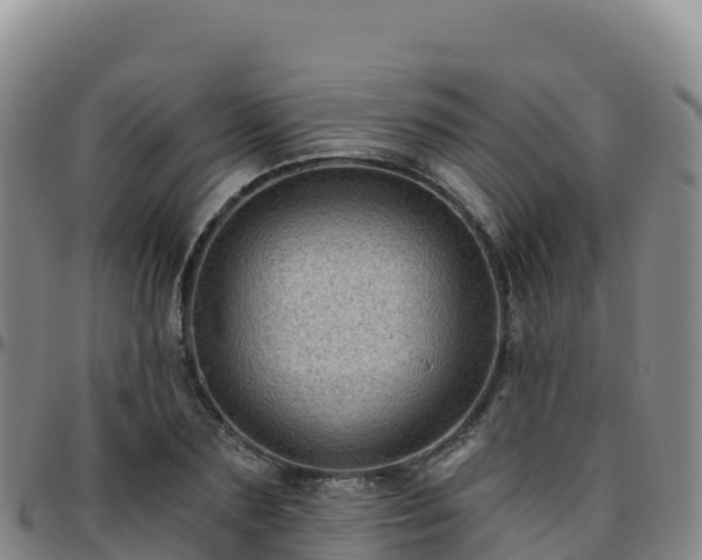 X0000096470883200801311532