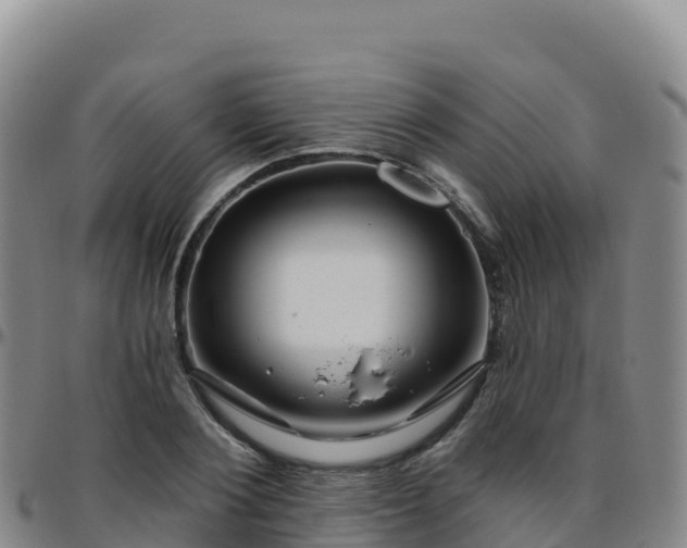X0000096470884200801311532