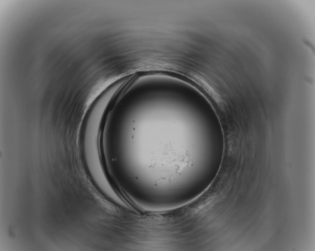 X0000096470885200801311532