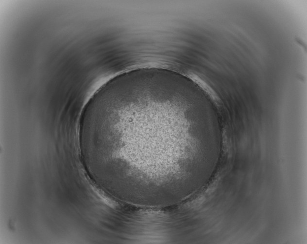 X0000096470886200801311532