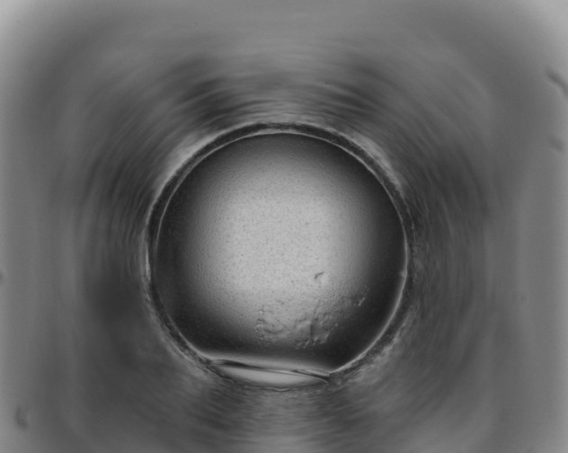 X0000096470887200801311532
