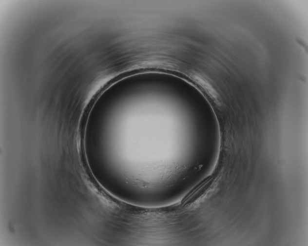 X0000096470888200801311532