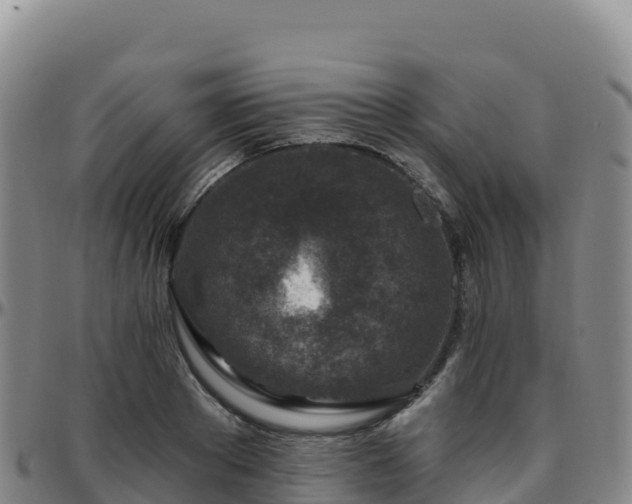 X0000096470889200801311532