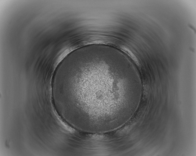 X0000096470890200801311531
