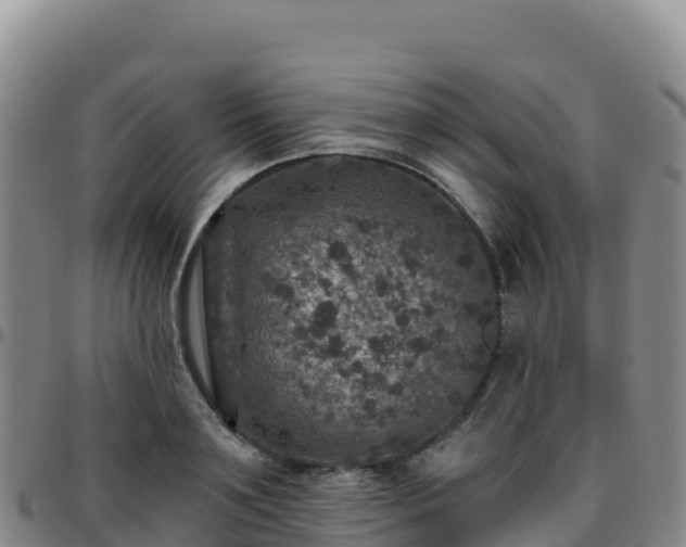 X0000096470891200801311531