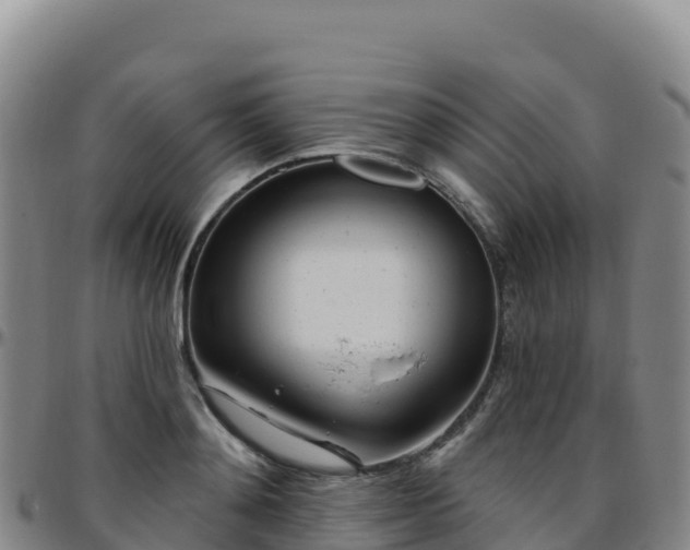 X0000096470892200801311531