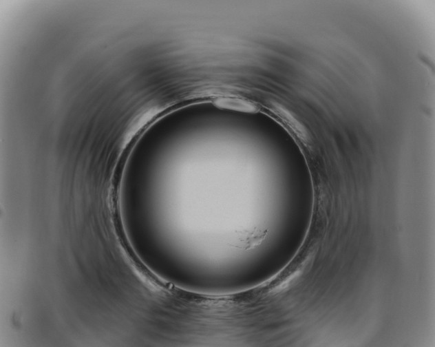 X0000096470893200801311531
