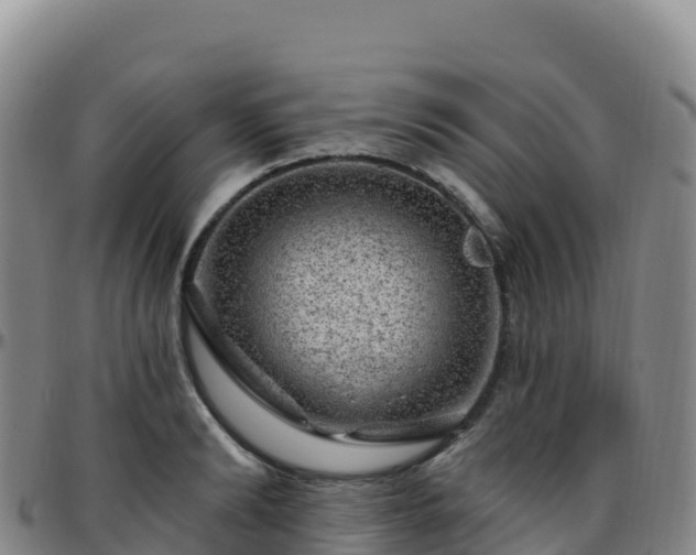 X0000096470894200801311531