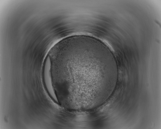 X0000096470895200801311531