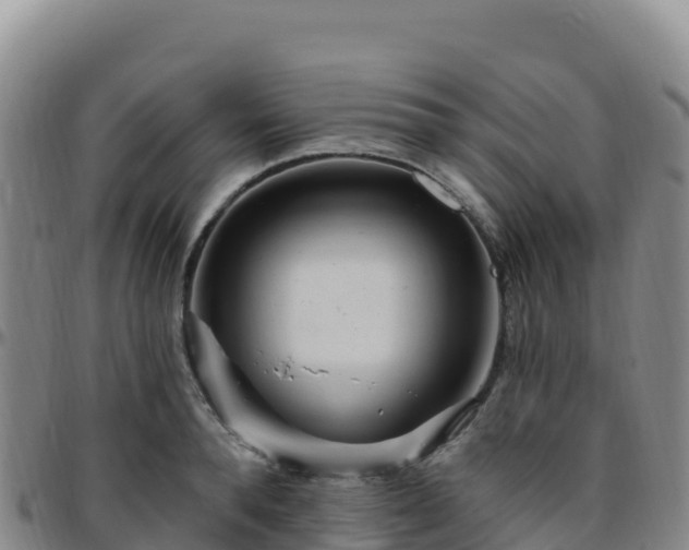 X0000096470896200801311531