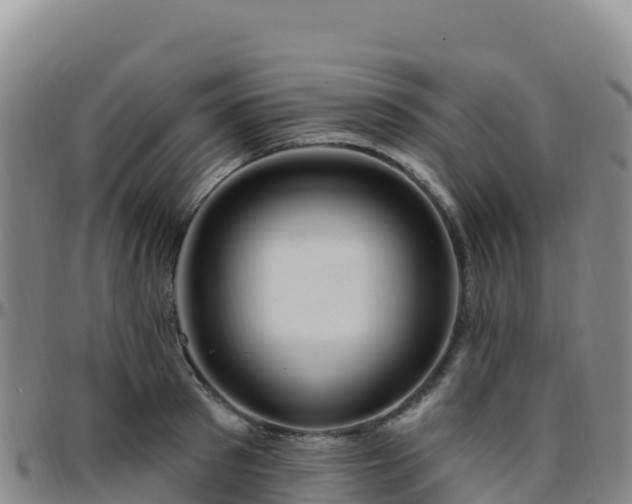 X0000096470897200801311531