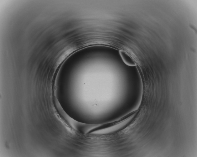X0000096470898200801311531