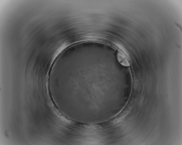 X0000096470899200801311531