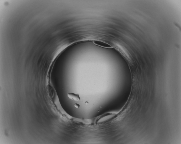 X0000096470900200801311531