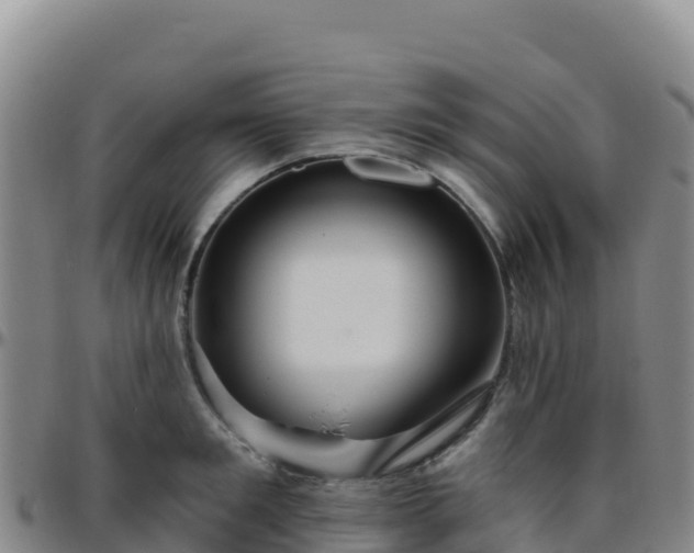 X0000096470901200801311531