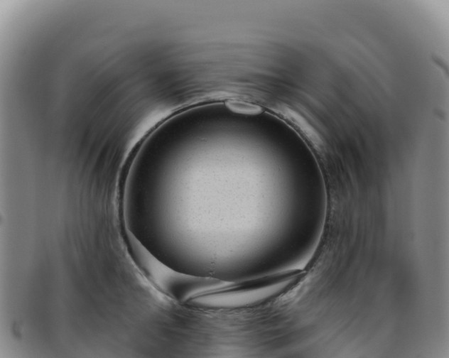 X0000096470902200801311531