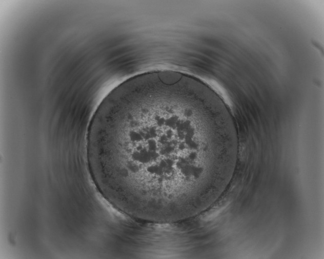 X0000096470903200801311531