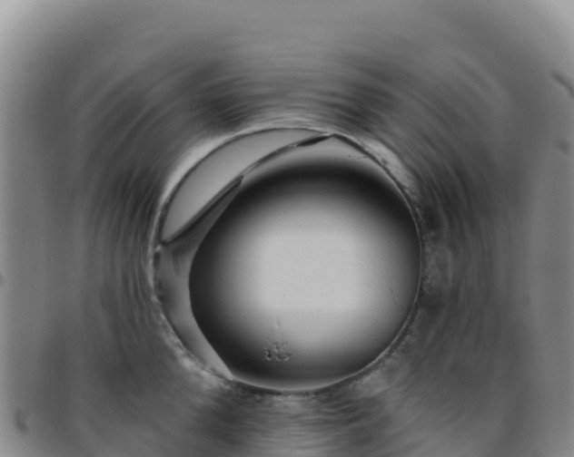 X0000096470904200801311531