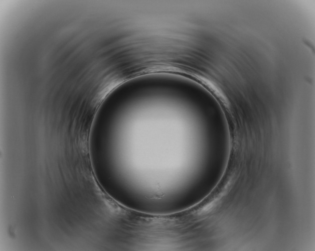 X0000096470905200801311531
