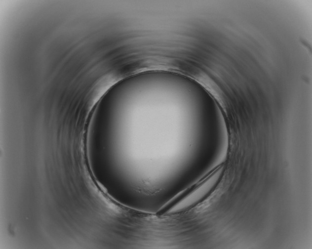 X0000096470906200801311531