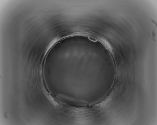 X0000096470907200801311531