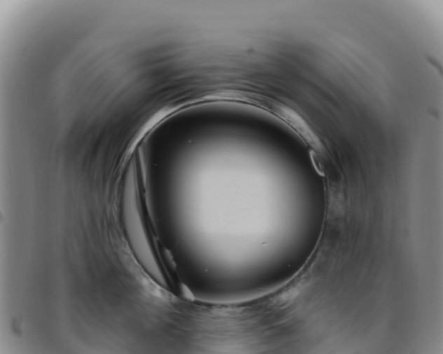 X0000096470908200801311531