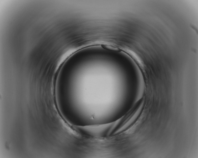 X0000096470910200801311531