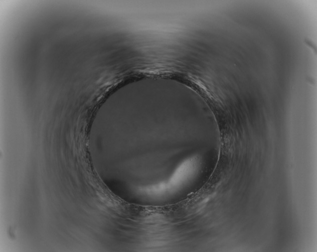 X0000096470913200801311531