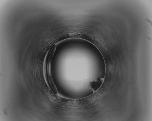 X0000096470914200801311531