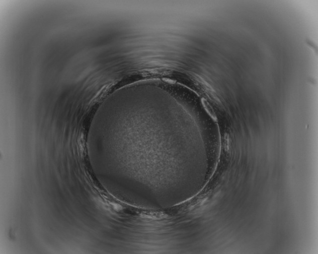 X0000096470915200801311531