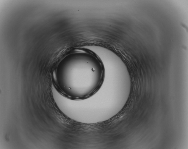 X0000096470916200801311531