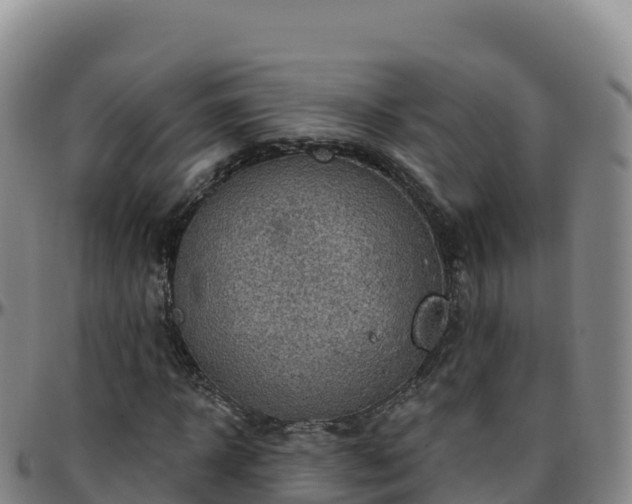 X0000096470918200801311531