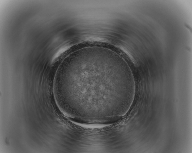 X0000096470919200801311531
