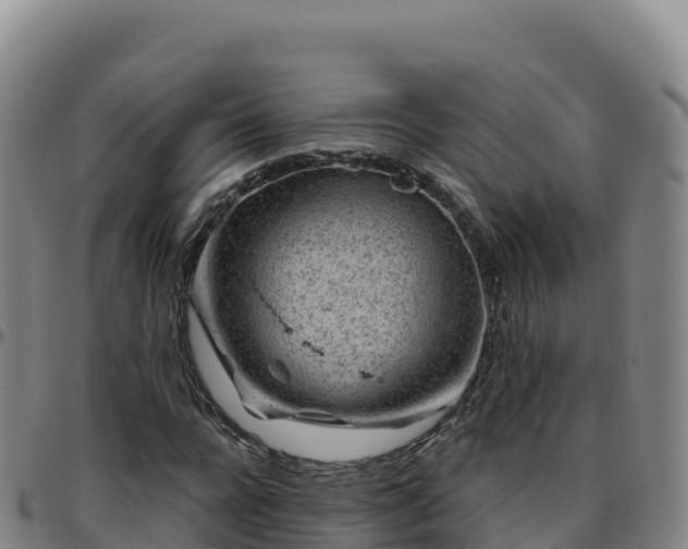 X0000096470920200801311531