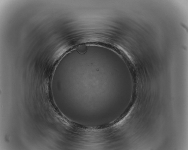 X0000096470921200801311531