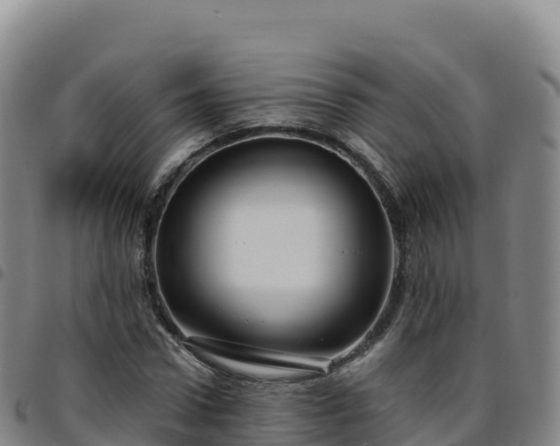X0000096470922200801311531